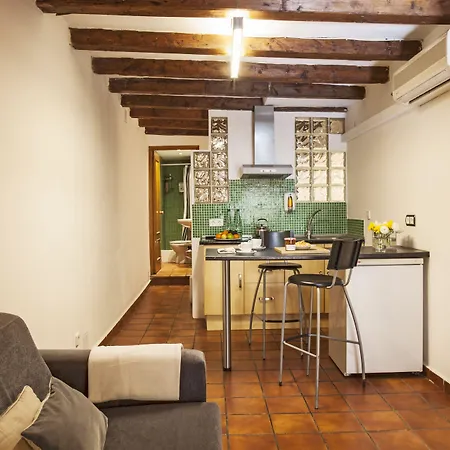 Ainb Las Ramblas-Guardia Apartments-2